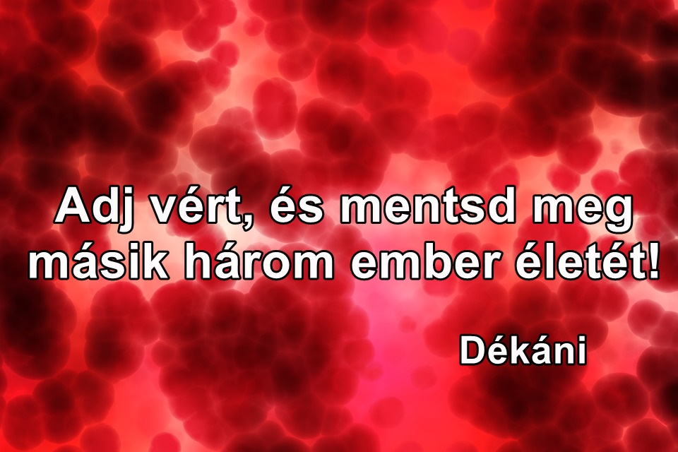 adj vért. 2 png